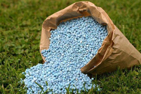 5 Common Mistakes to Avoid When Applying Fertilizers for Optimal Crop Growth