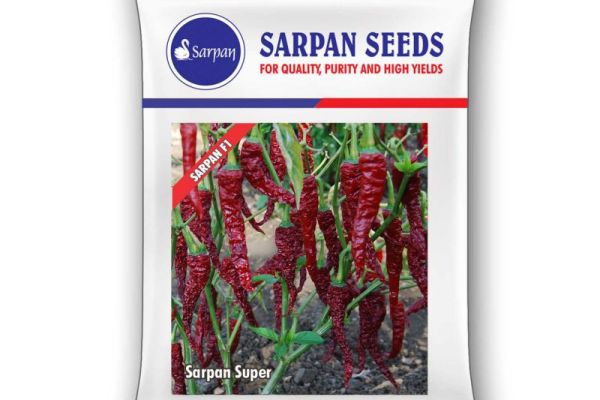 Mirch ki Top-3 variety | Hybrid Chilli Seeds