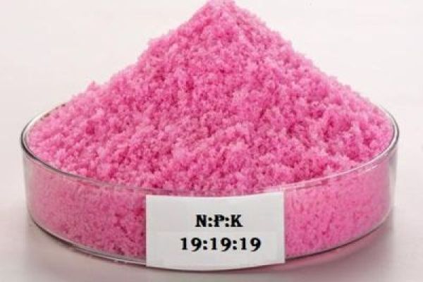 NPK 191919 Water Soluble Fertilizer