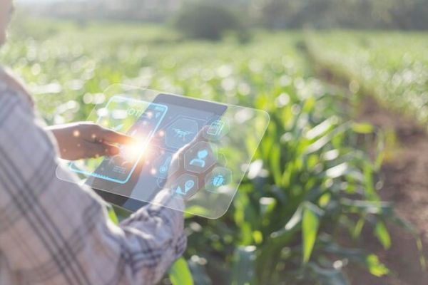 Agricultural Advancements:  The Role of Modern Farming Technologies