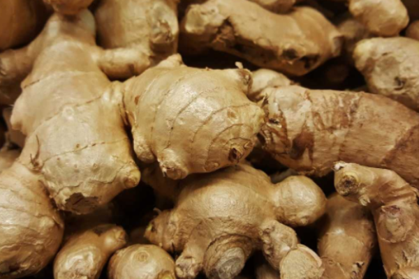 Growing Ginger Hydroponically, Hydroponic Nutrients