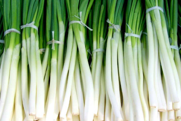 A Gardener's Guide to Growing Spring Onions: Tips, Tricks, and Secrets for Success