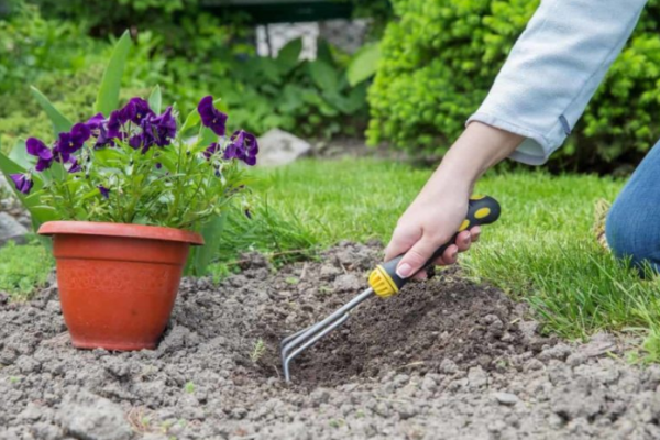 Home Gardening in Chhattisgarh: How to Start from Scratch for Indoors, Terrace, Outdoors, Containers, and Apartment Balcony