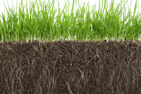 HUMIC ACID: THE SCIENCE OF HUMUS AND HOW IT BENEFITS SOIL