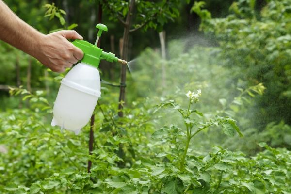 Liquid Fertilizers : Enhancing Crop Growth and Profit