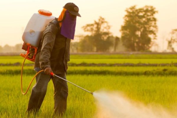 roundup herbicide uses price and dosage per litre