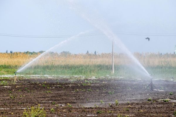 Understanding Irrigation A Beginner's Guide