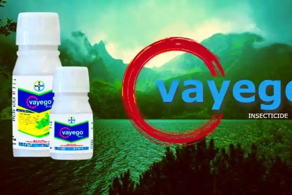 Vayego Bayer Uses In Hindi Price Dose