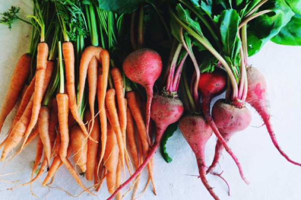 WHAT ARE ROOT VEGETABLES AND TIPS TO GROW THEM